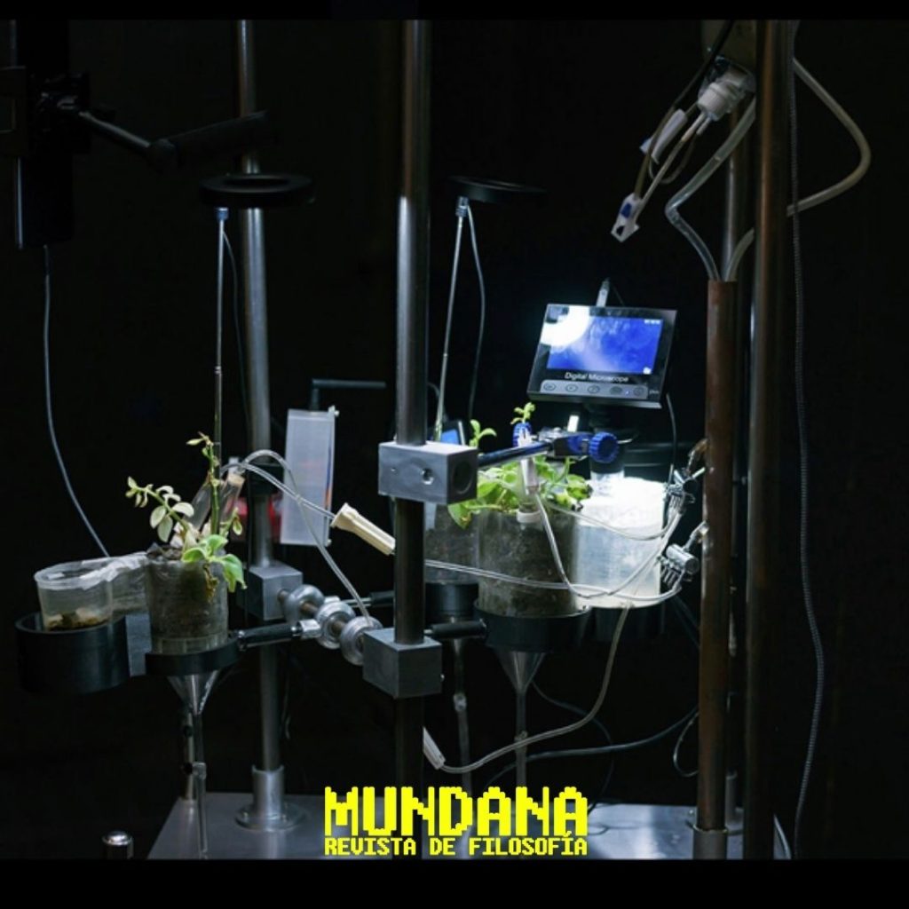 Sympoïèsis digital de lo vivo: reinventar lo orgánico en la era digital | Por Alizee Armet